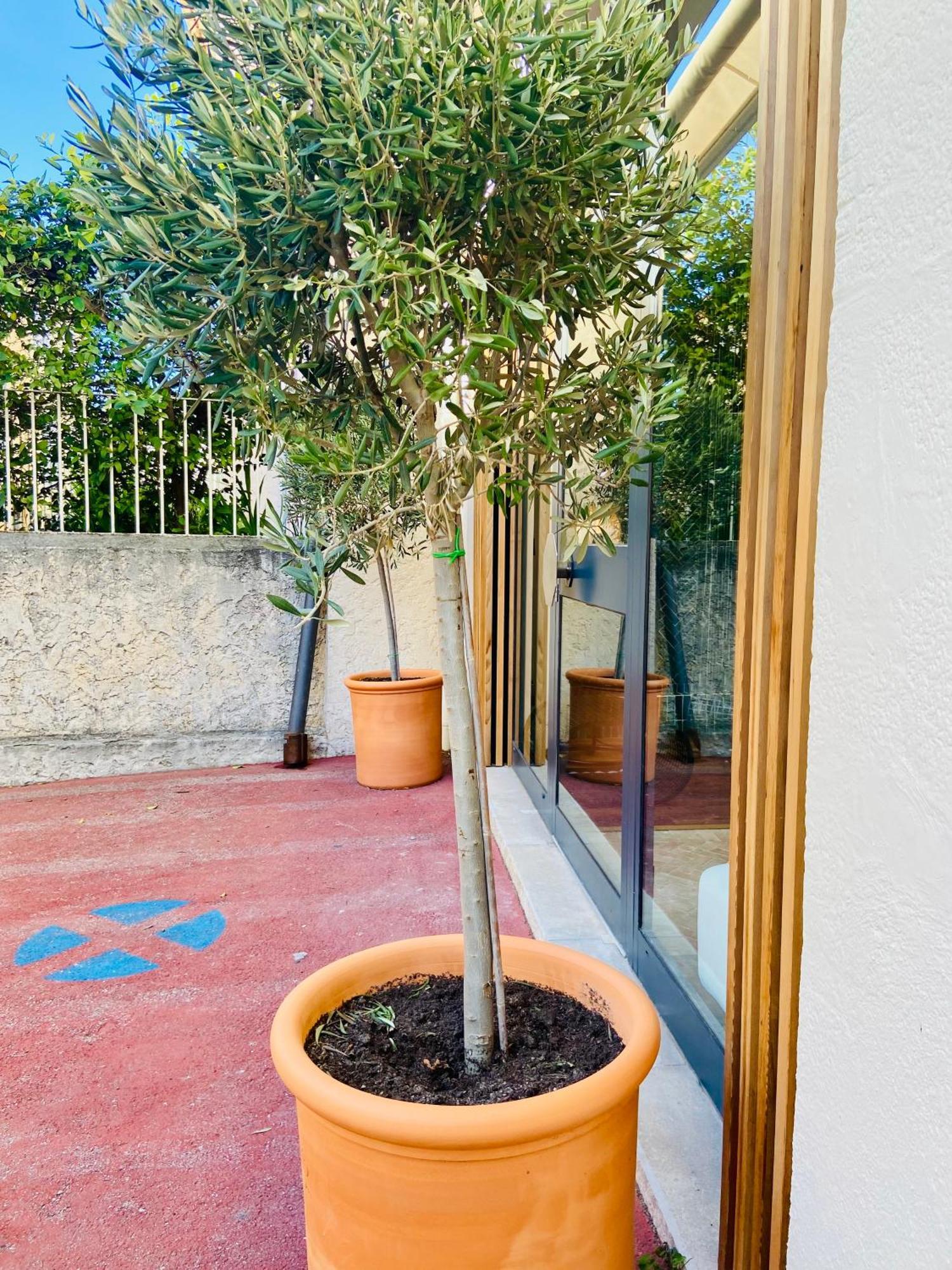 Cassis Grande Terrasse Emplacement Au Top A 1 Minute De La Plage A Pieds Luaran gambar